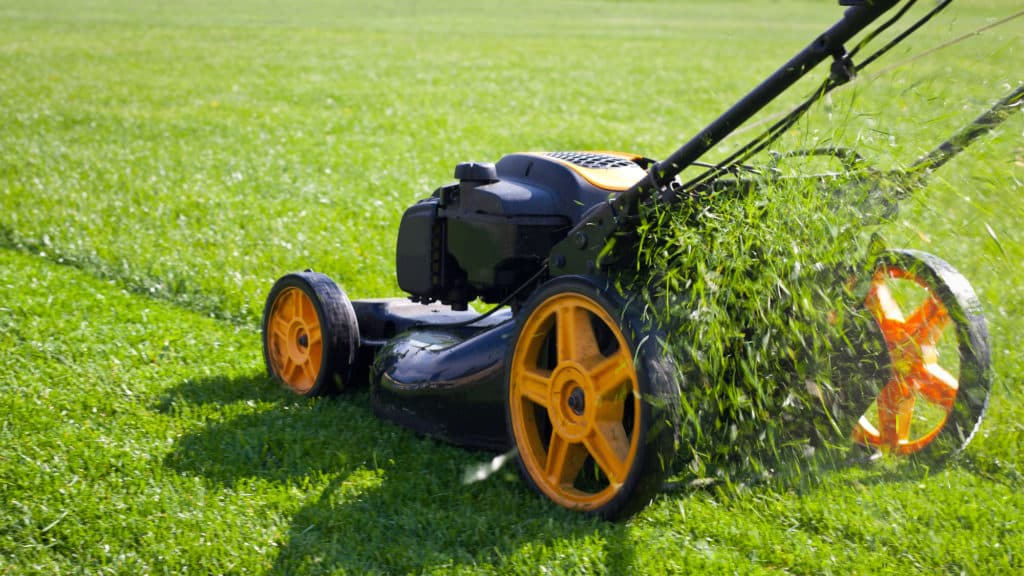 Akku Rasenmäher mit Mulchfunktion