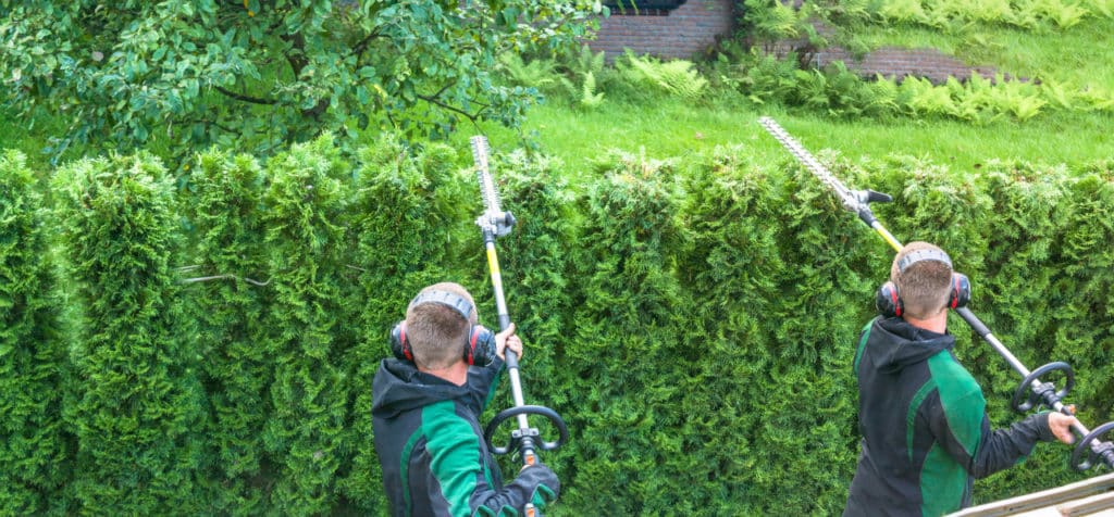 Langstiel Heckenschere