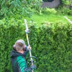 Langstiel Heckenschere