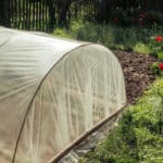 Gewächshaus gebraucht kaufen