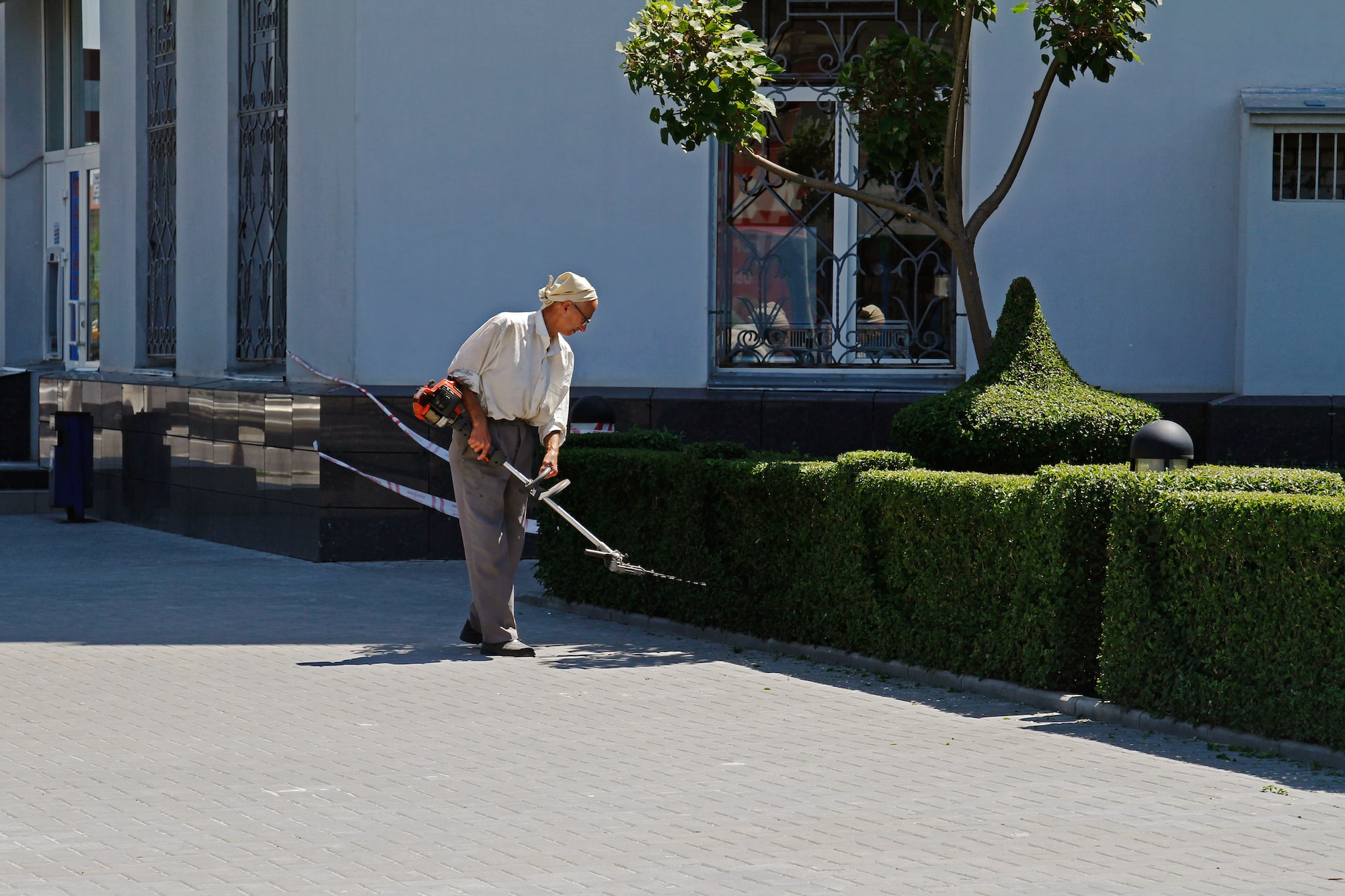 Hecke schneiden mit einer Teleskop Heckenschere