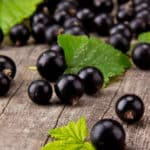 Johannisbeeren Hochstamm schneiden