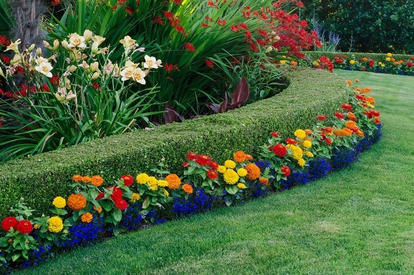 Stilvoll angelegter Garten mit einer Buchsbaumhecke in der perfekt passenden Höhe