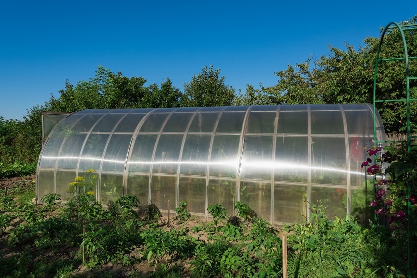 Ausrichtung zur Sonne Gewächshaus