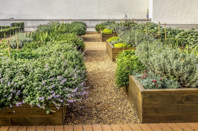 Garten mit Kräuterbeeten aus Holz