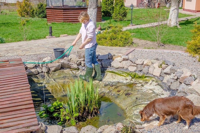 Hobby-Gärtnerin befreit ihren Teich von Schlamm im Frühling.