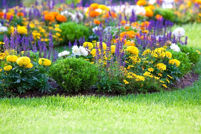 Flexibler Gartenschlauch für einen top gepflegten Garten