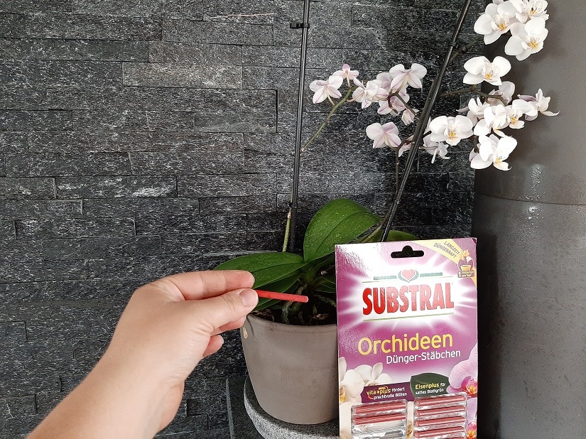 Düngerstäbchen für Orchideen