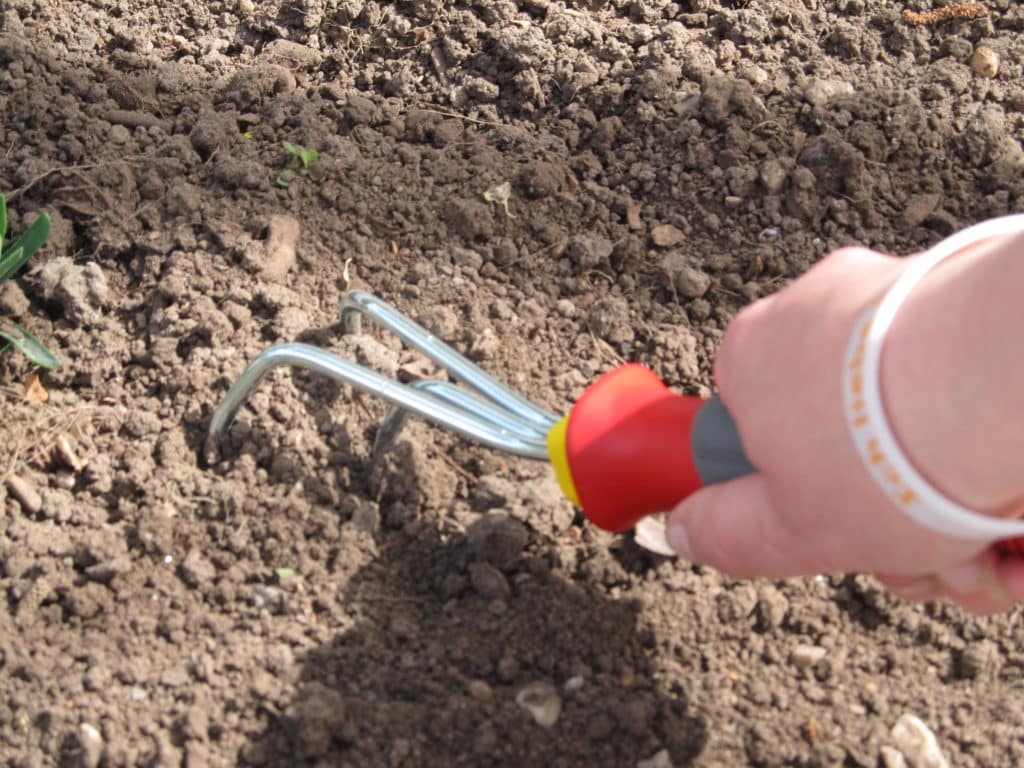 Wolf-Garten Kleingrubber im Praxistest