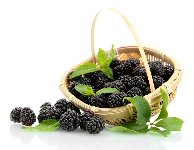 Brombeeren im Korb