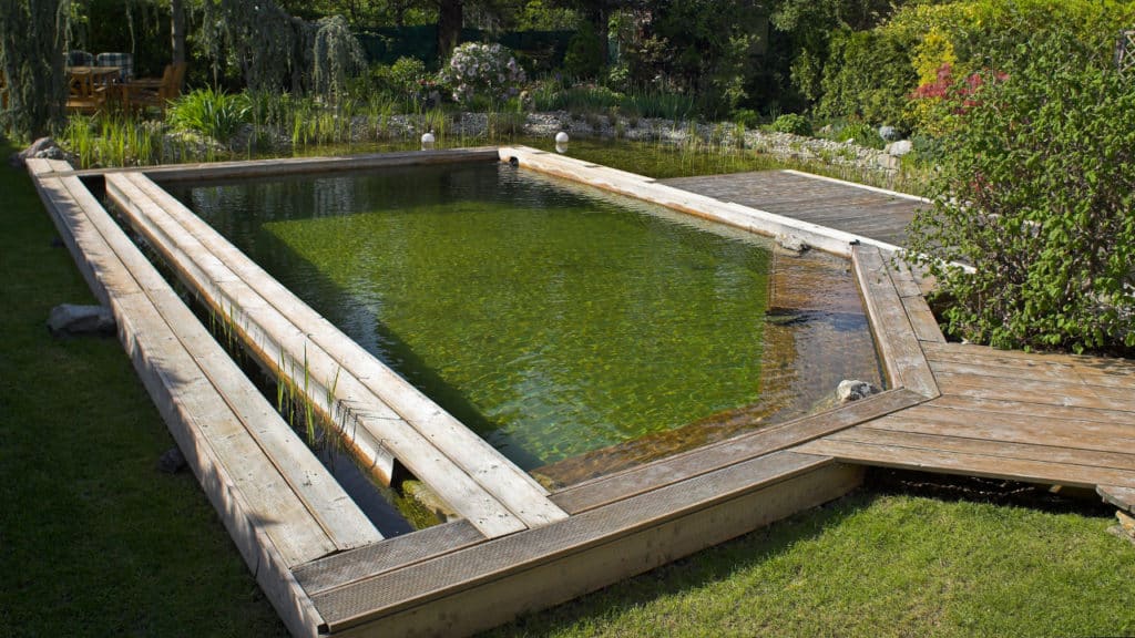 Die Schwimmteich Kosten