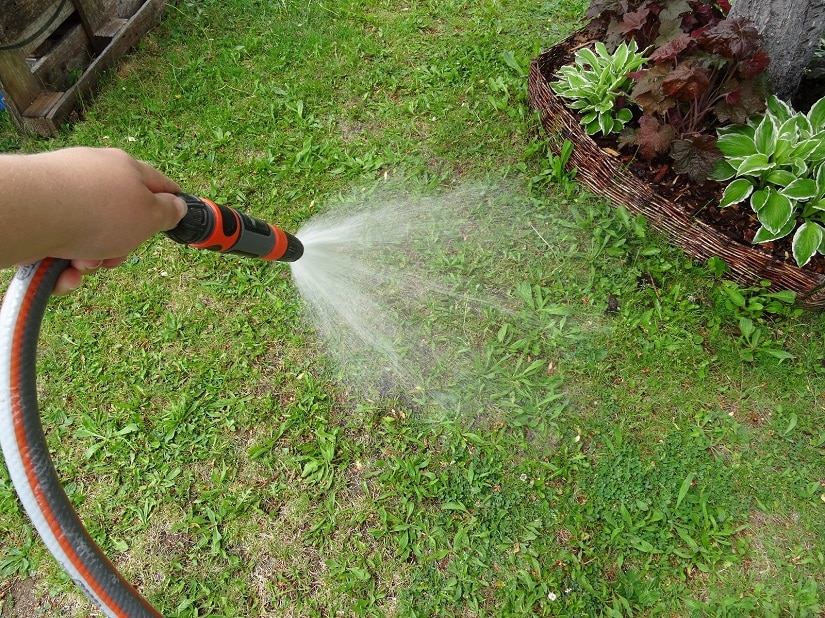 Rasen wird nach der Düngung nachgegossen