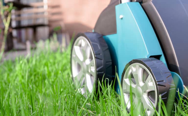 Rasenvertikutierer Ratgeber & Produktvorstellungen 2021 » Gartenzeile.de