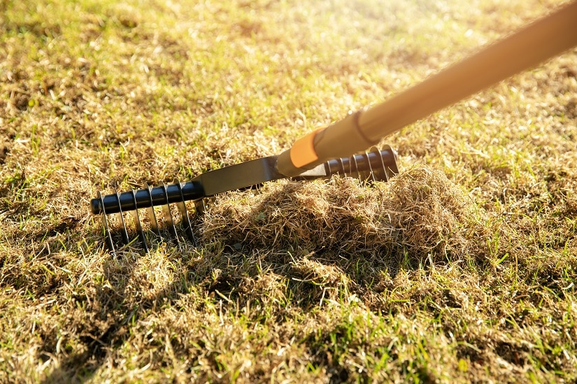 Gartenrasenbelüftung mit Handvertikutierer-Harke