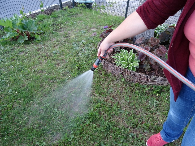 Wird aus dem Schlauch gegossen, bindet das kalkhaltige Wasser das vorhandene Eisen