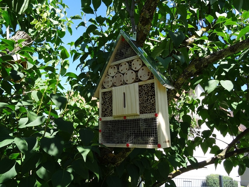 Mein Insektenhäuschen hängt nun mindestens 50cm hoch in der Sonne, wo die Insekten ihre Ruhe haben und meine Kinder sie dennoch beobachten können