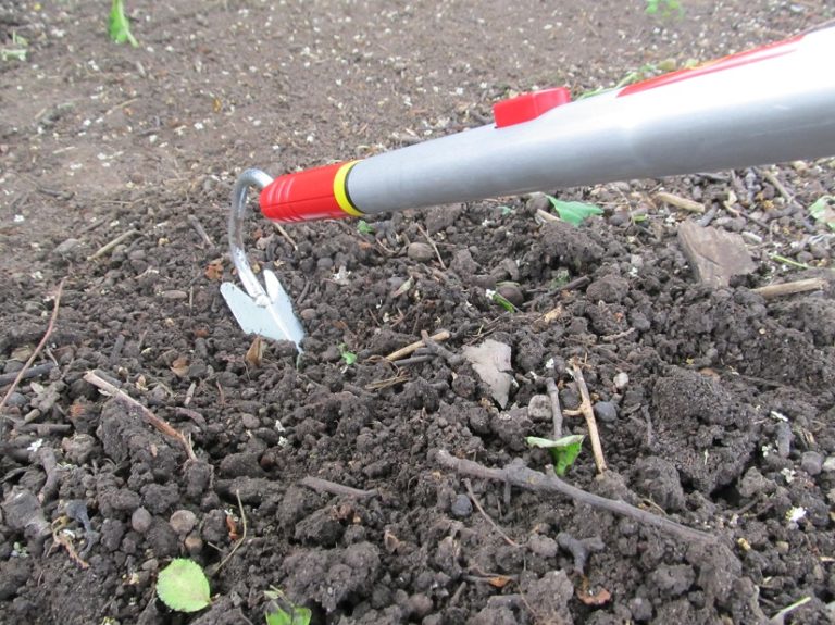 Den Boden auflockern 2025 » Alle Infos auf Gartenzeile.de