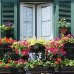 Blumenkasten mit Wasserspeicher
