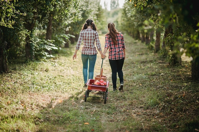 Ein Gartenwagen erleichtert die Arbeit im Garten und auf den Feldern