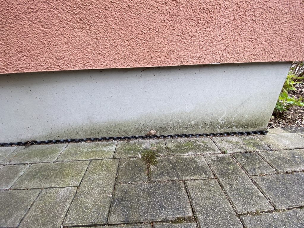 Grünbelag auf Pflastersteinen und Hauswand
