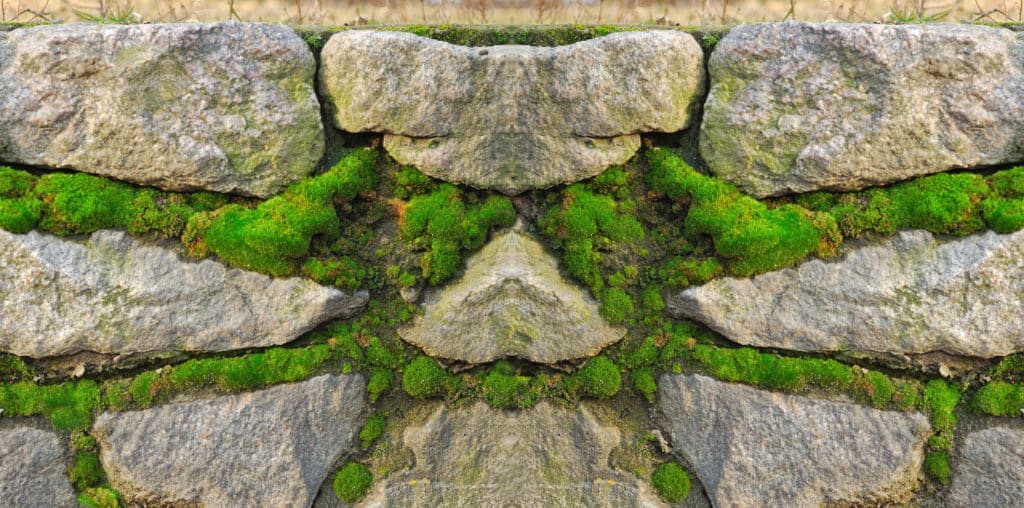 Moosentferner