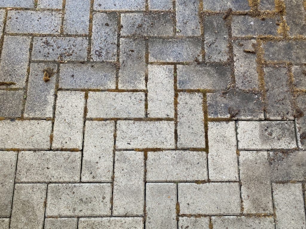 Pflastersteinen werden gereinigt und von Grünbelag befreit