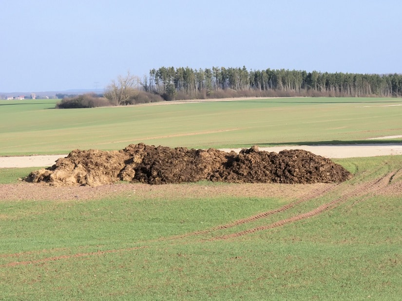 Du kannst also wirklich nicht viel falsch machen und was sich bei Landwirten bewährt hat, kannst du dir für deinen heimischen Garten zu Nutze machen…