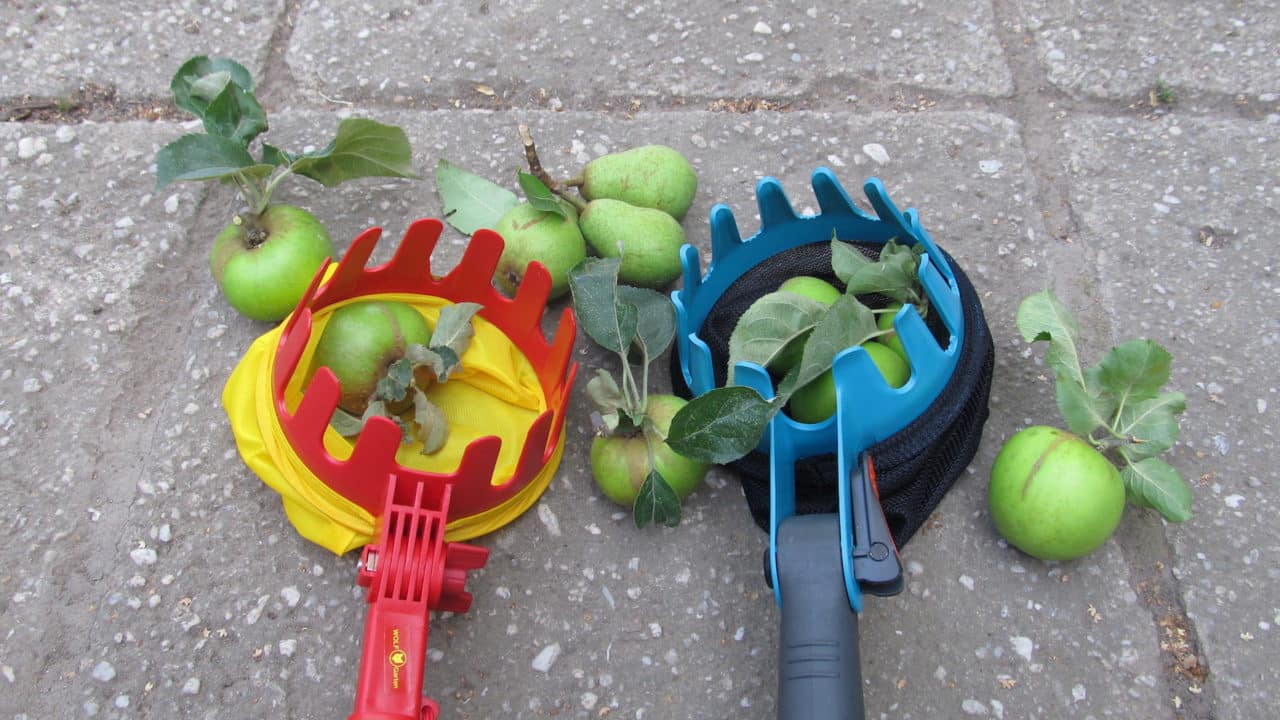 Obstpflücker Test » Ratgeber & Produktvorstellungen 2026