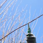 Gartenschere zum Schneiden von Sträuchern