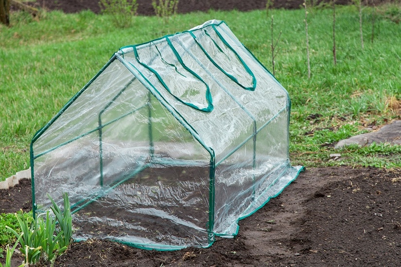 Kleingewächshaus im Garten