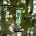 Vogeltränke zum Aufhängen