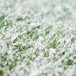 Winterschutzzelt