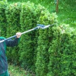 Akku-Teleskop-Heckenschere Test