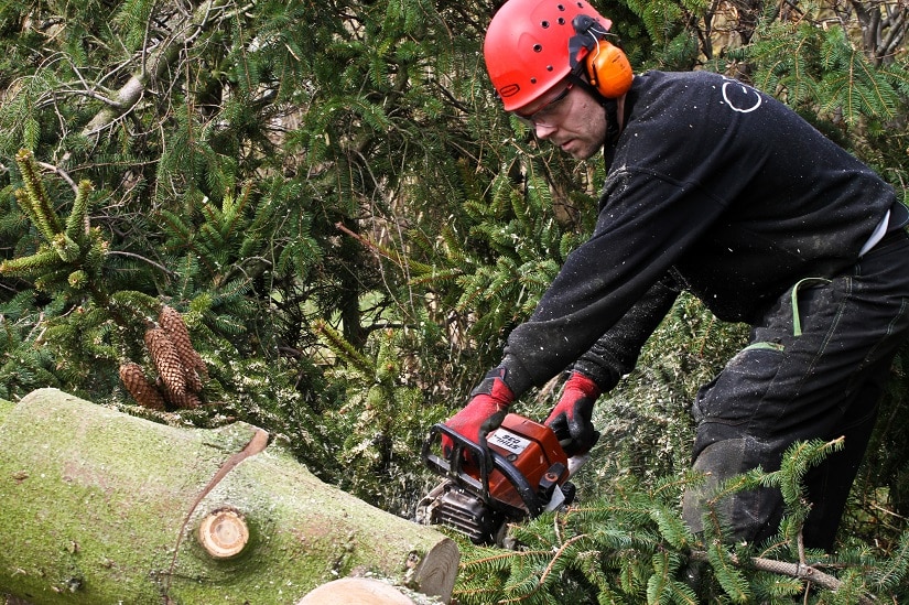 Holzfäller mit Schutzausrüstung zur Nutzung der Kettensäge