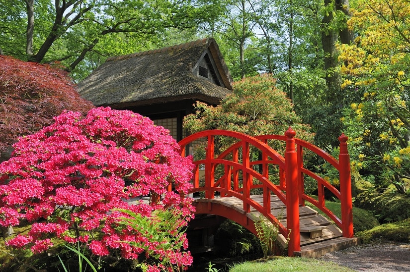 Teichbrücke japanischer Art