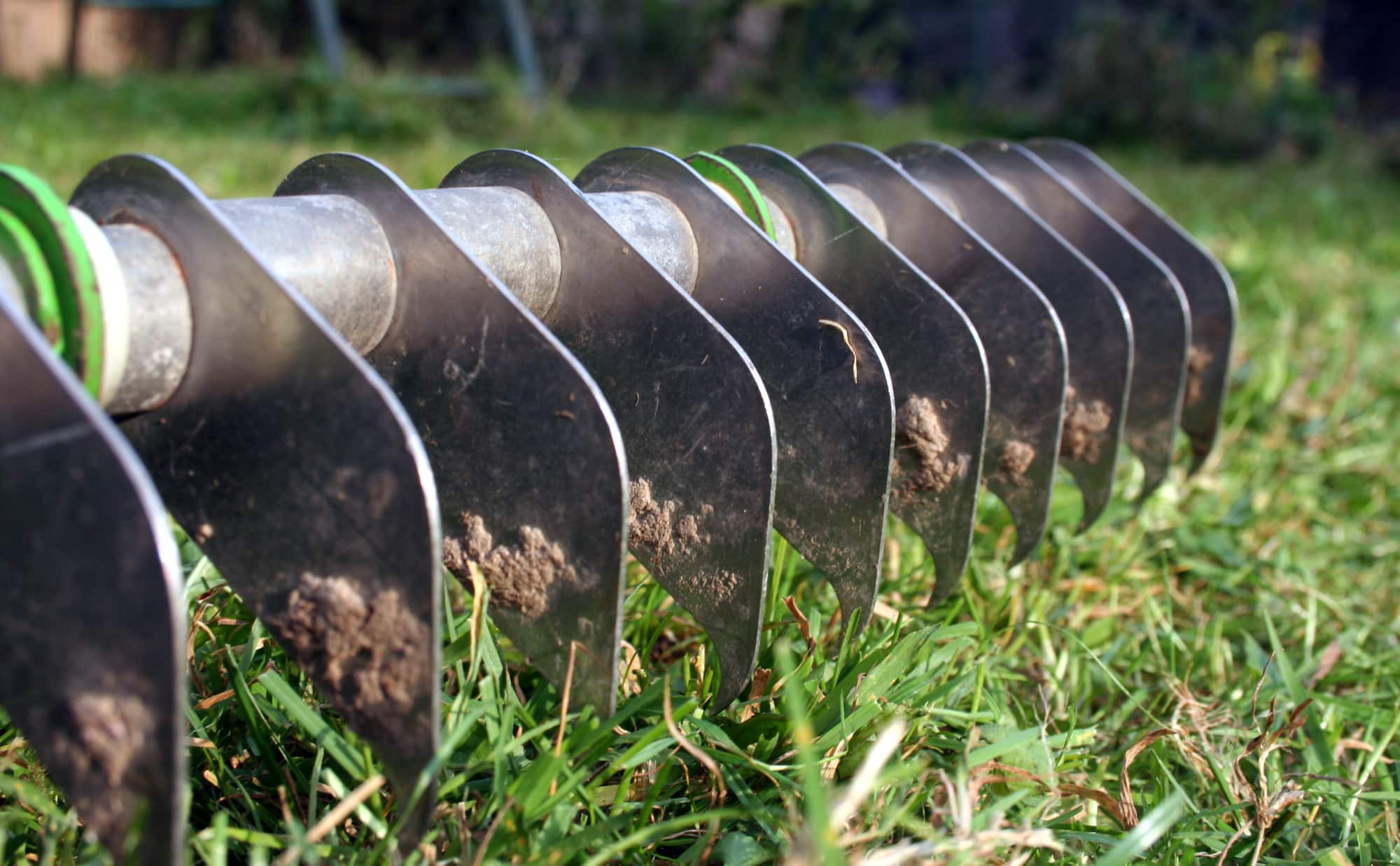 Den Rasen Vertikutieren Oder Luften 2021 Alle Infos Auf Gartenzeile De