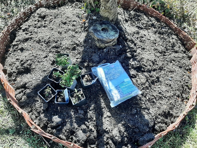 Unkrautvlies wird am einfachsten bereits bei einer Neuanlage mit eingearbeitet