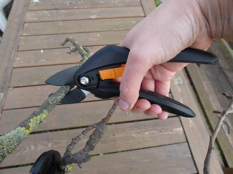 AmbossGartenscheren Test » Ratgeber & Produktvorstellungen