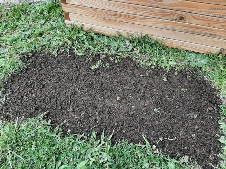 Rasenerde Ratgeber & Produktvorstellungen 2025 » Gartenzeile.de