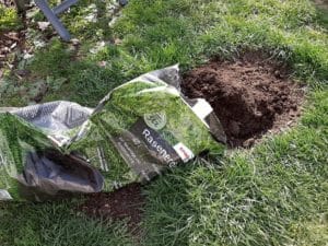 Rasenerde Ratgeber & Produktvorstellungen 2021 » Gartenzeile.de