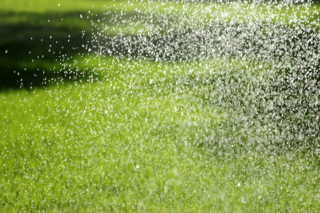 Staunässe im Garten und im Topf vermeiden