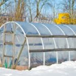 Gewächshaus im Winter nutzen