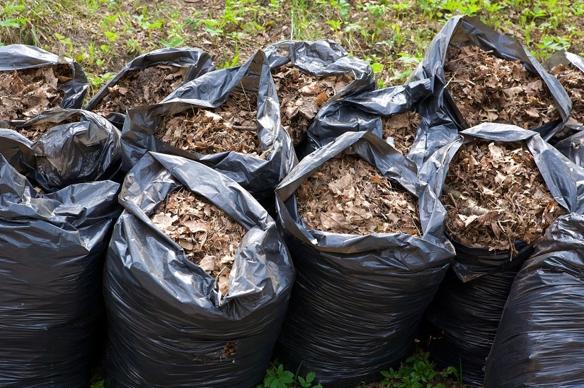 Kompostierung von Laub in Plastiksäcken