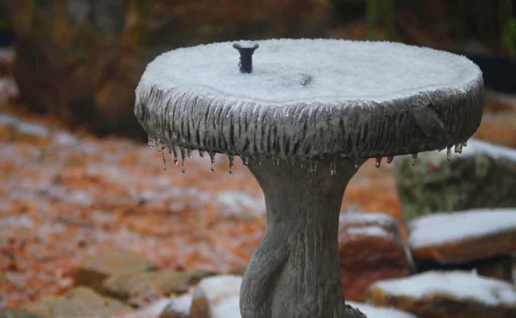 Frostsichere Vogeltränke