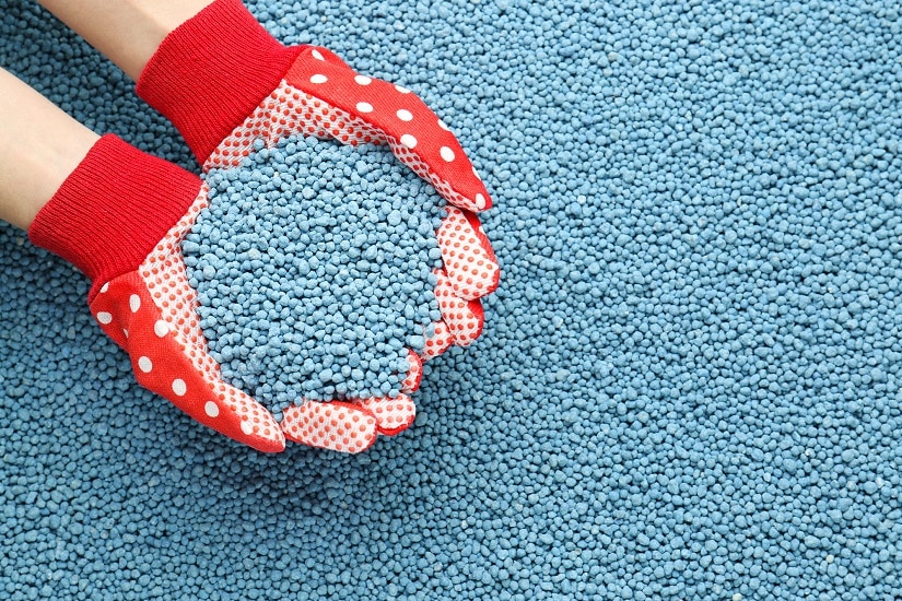 Ausbringung von Blaudünger mit Handschuhen