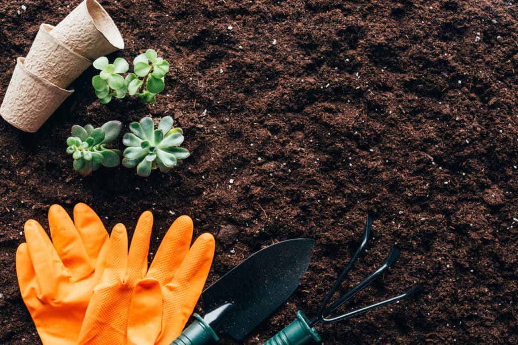 Frühling im Garten: Mit diesen Arbeiten startest du erfolgreich in die neue Saison