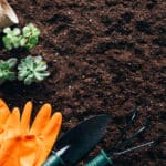 Frühling im Garten: Mit diesen Arbeiten startest du erfolgreich in die neue Saison