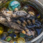 Insektentränke selber bauen
