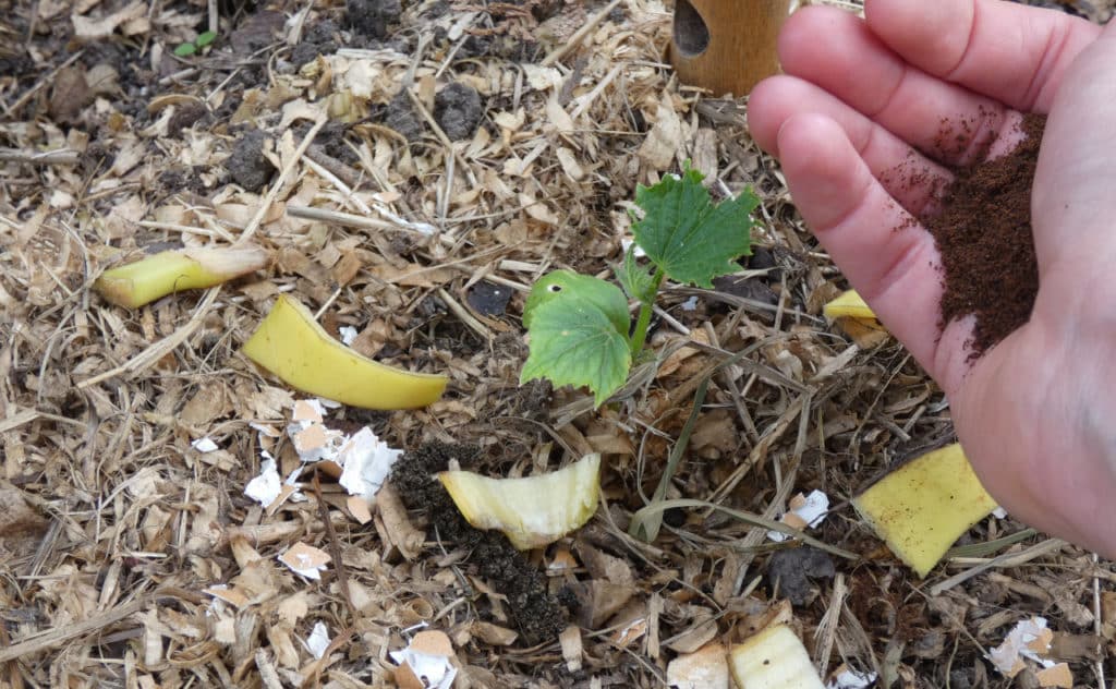 Küchenabfälle als Dünger im Garten