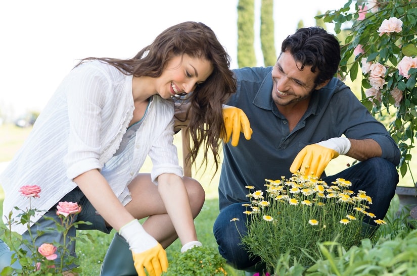 Junges Paar bei der Gartenarbeit